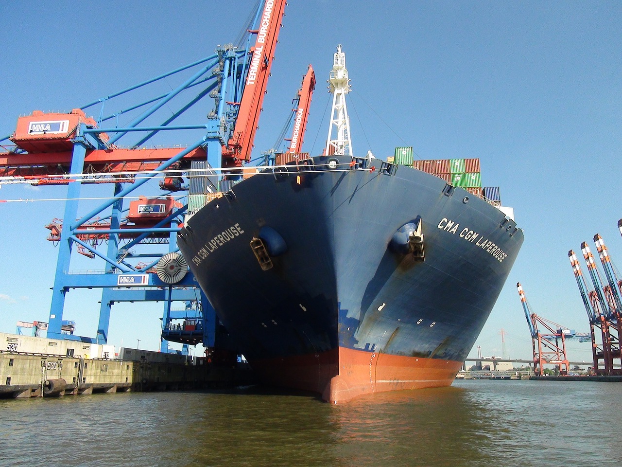 We are International Exporter