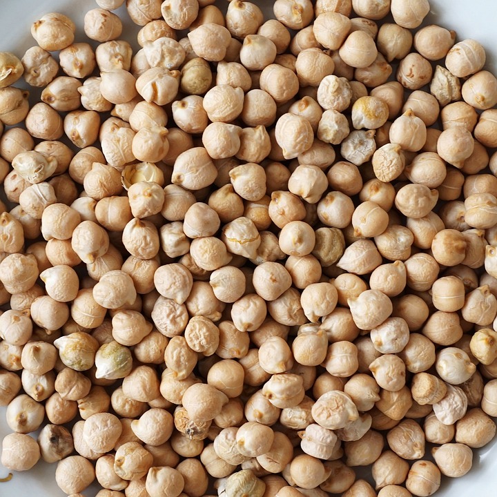 Best Export Quality ChickPeas