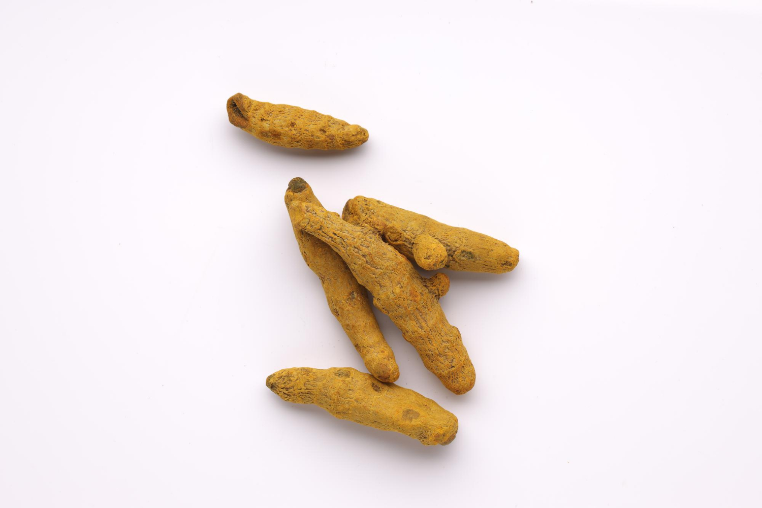 Ready to export turmeric